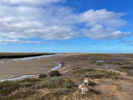 Norfolk Salt Marsh